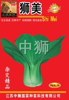 狮美
